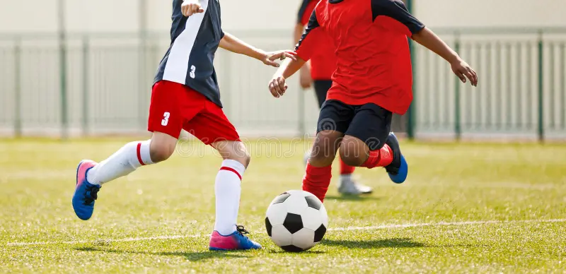 Elite Sports Management